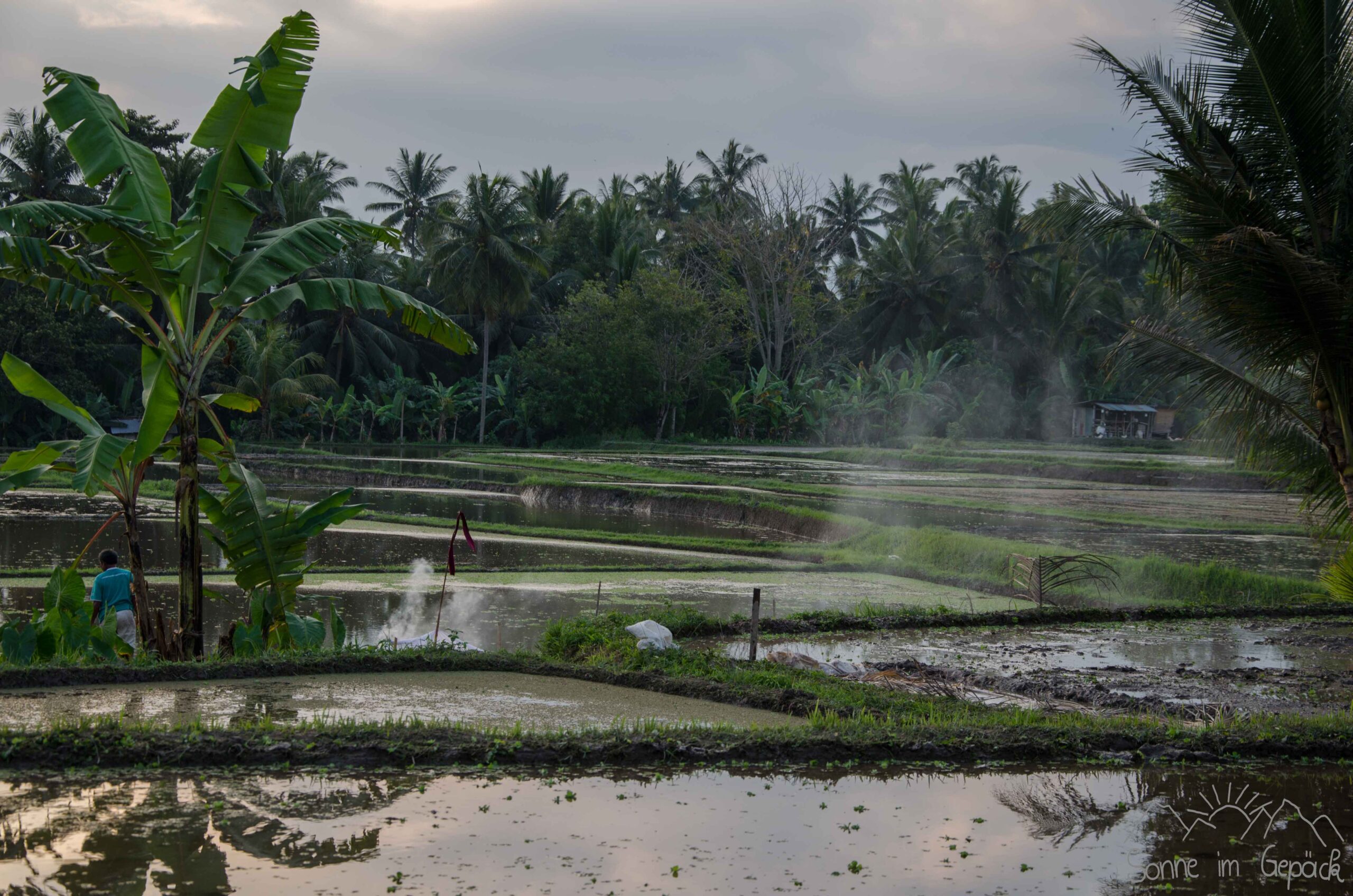 Der CO2 Verbrauch unserer Bali Reise – wie könnte man nachhaltiger Reisen?