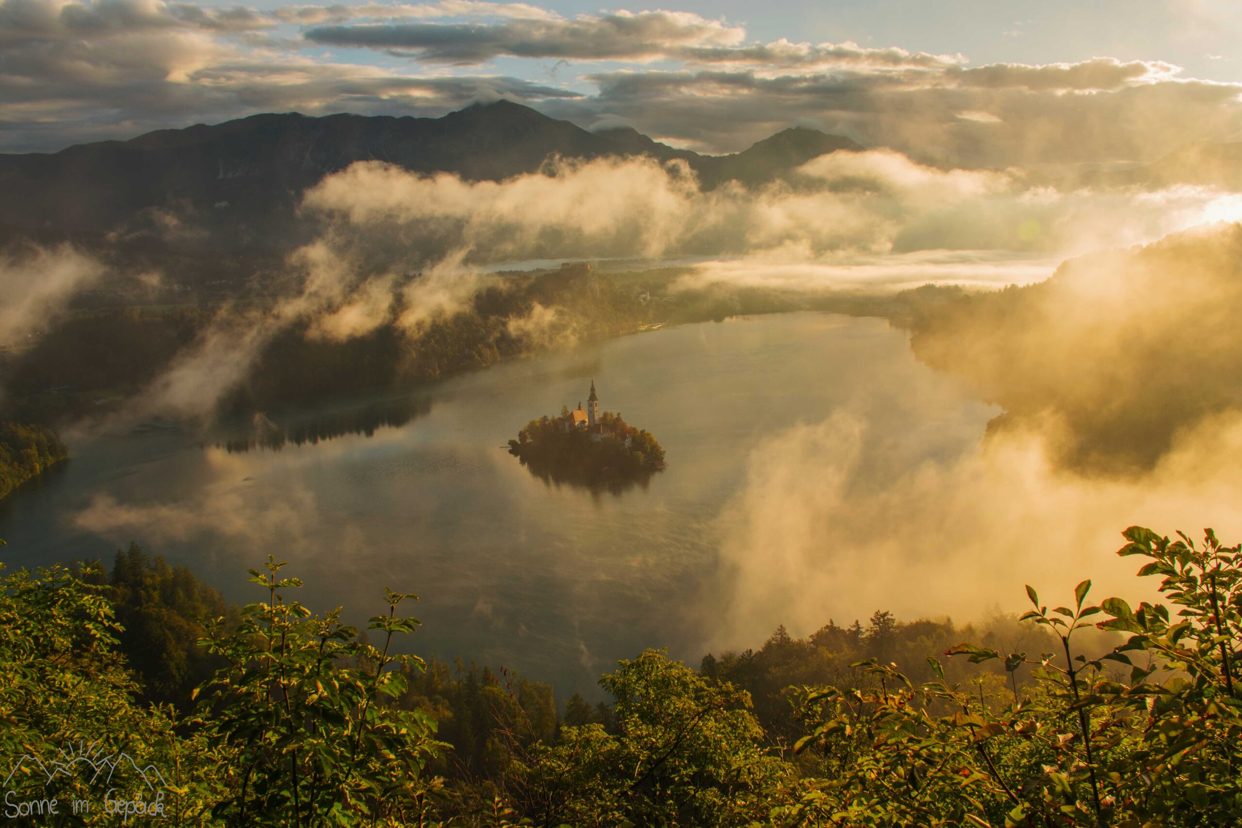 Goldenes Licht bei der Morgenstimmung am Bleder See.
