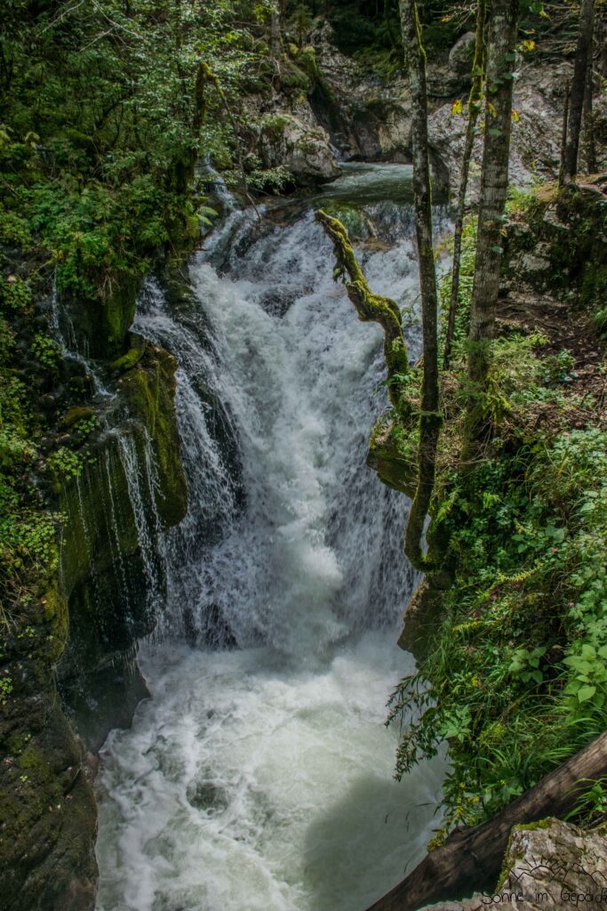 Šunik-Wasserfall im Wald.