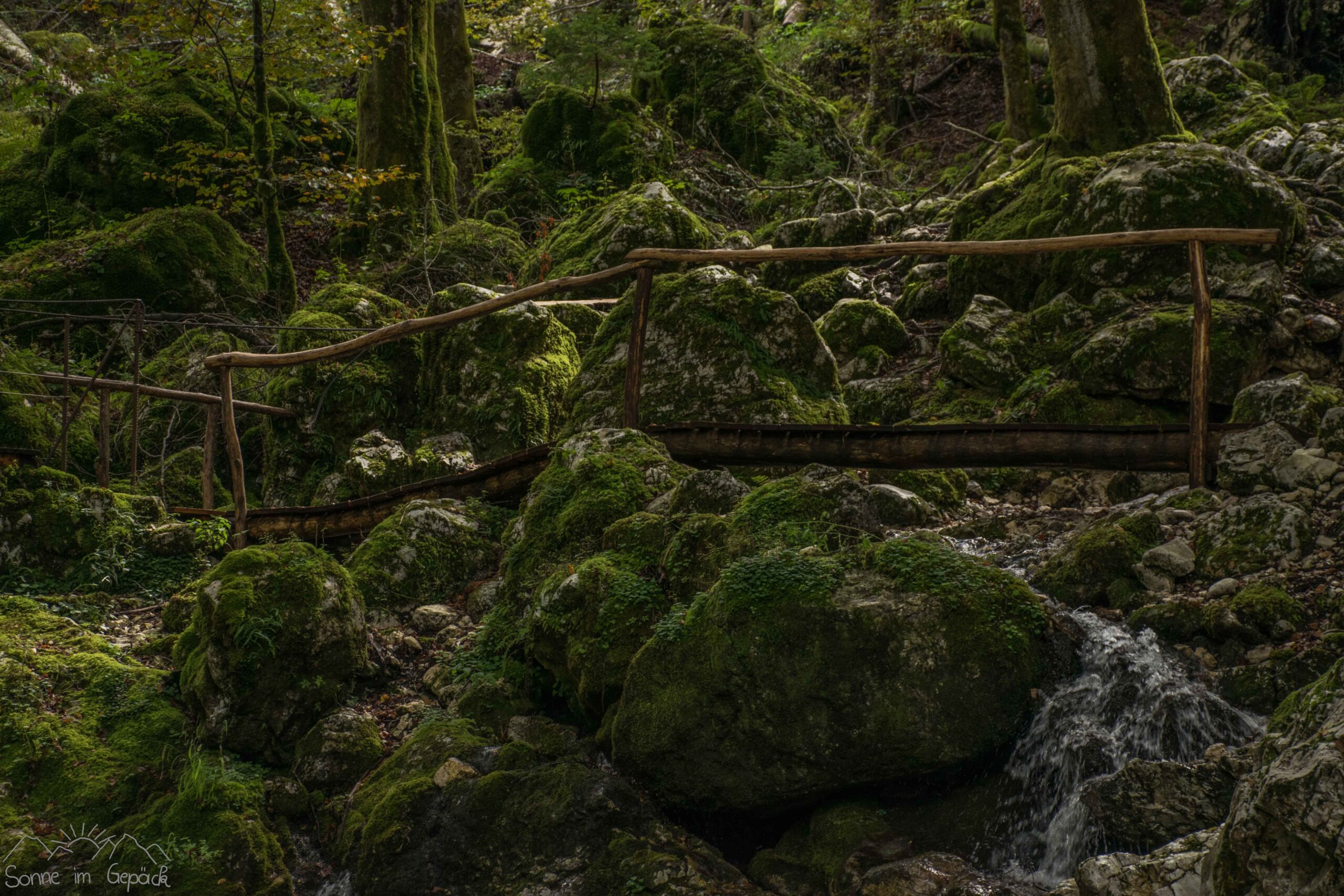 Weg mit Holzbrücke.